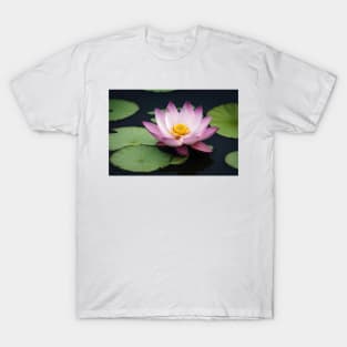 Beautiful lotus flower on river T-Shirt